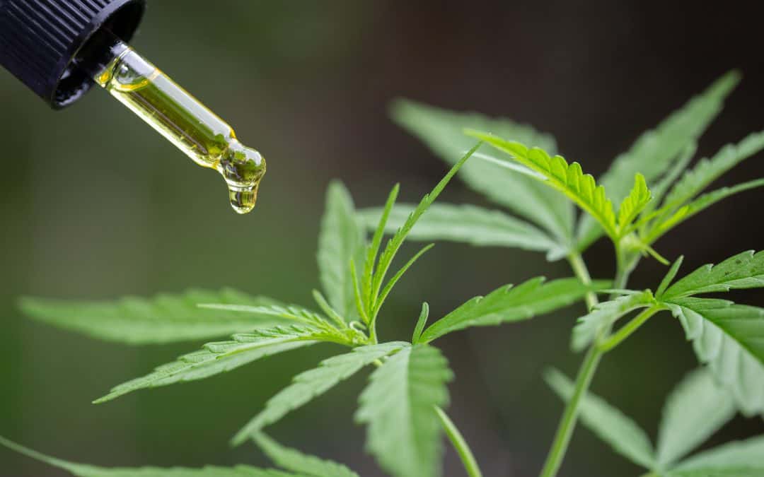 Što je CBD ulje