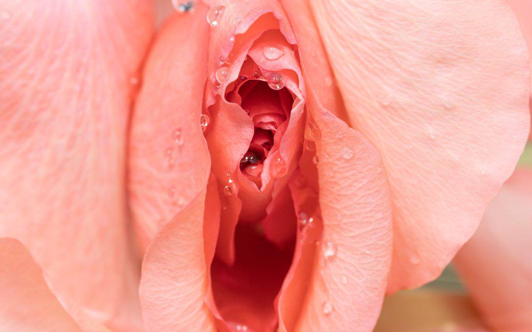 Kultura i seksualnost: Kako sex oglasi odražavaju promjene u društvu.