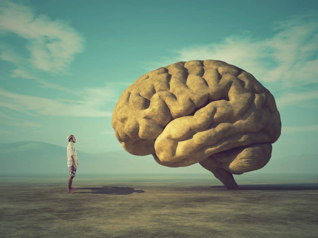 Nevjerojatne činjenice o mozgu: Razumijevanje kompleksnosti ljudske svijesti