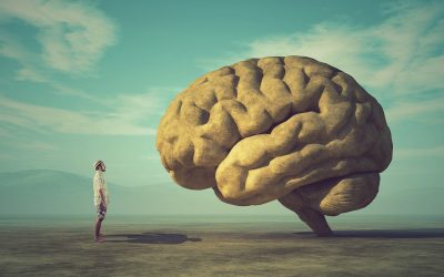 Nevjerojatne činjenice o mozgu: Razumijevanje kompleksnosti ljudske svijesti