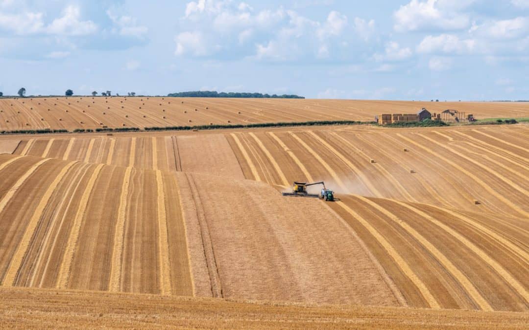 Top 5 proizvođača kombajna u Europi