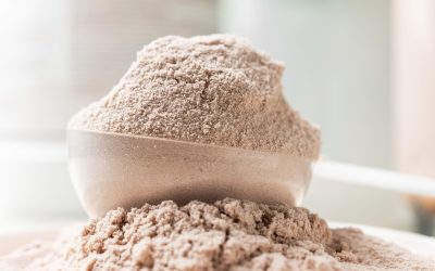 Kreatin ili whey protein – što odabrati i zašto?